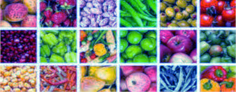 umowa DDD HACCP GHP GMP ISO